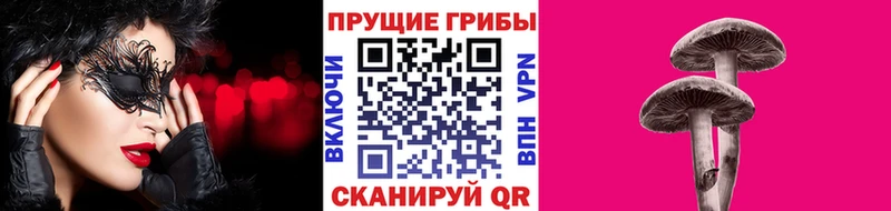 продажа наркотиков  Рудня  Галлюциногенные грибы прущие грибы 
